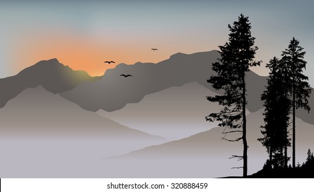 Lonely pine on the mountains background with flying birds