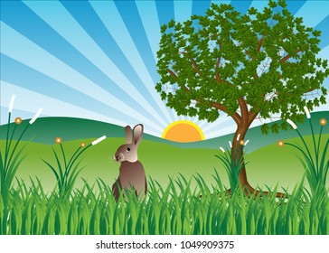 Lonely Rabbit In The Hilly Fields With Plants And Tree Scenery 
