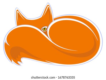 A Lonely Small Red Fox Watching You 