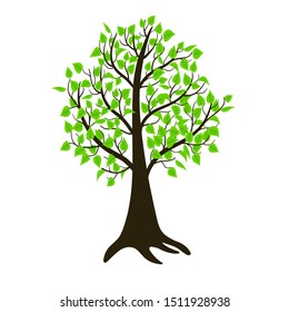Lonely summer tree isolated on white background. Vector