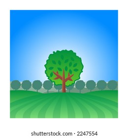 A lonely tree in a field landscape.
