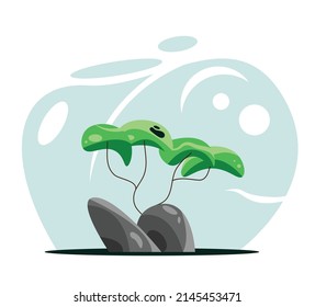 A Lonely Tree on a Stony Landscape