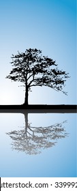 lonely tree over water
