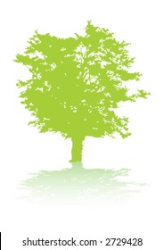 Lonely tree with shadow illustration