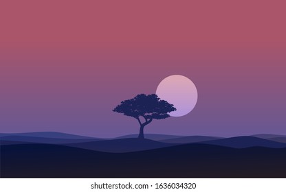 lonely tree with sunset or sunrise landscape