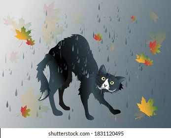 Un solitario y desafortunado gato negro sin hogar se moja en la fría lluvia de otoño. Ilustración vectorial.