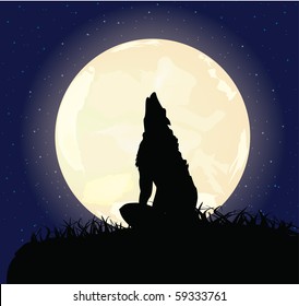 The lonely wolf sits on a rock and howls on the full moon