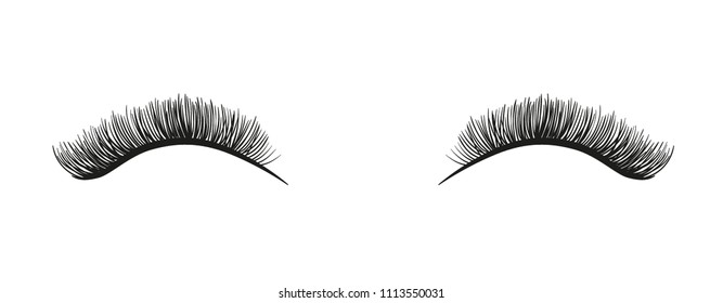 Long and beautiful false eyelashes vector illustration. Lashes isolated on white background