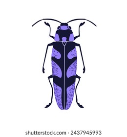 Long beetle. Spotted bug icon, above top view. Summer fauna species. Spotty animal, wild insect with wings and antennae. Flat graphic vector illustration isolated on white background