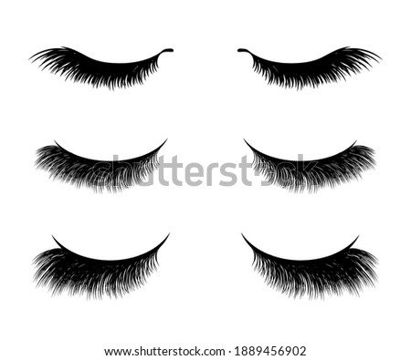 Long black eyelashes on a white background. Symbol. Vector illustration.