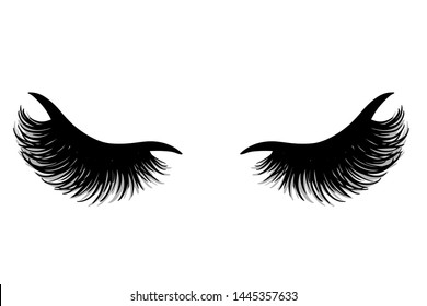 Long black lashes vector illustration. Beautiful Eyelashes isolated on white. For beauty salon, lash extensions maker. Closed eyes.
