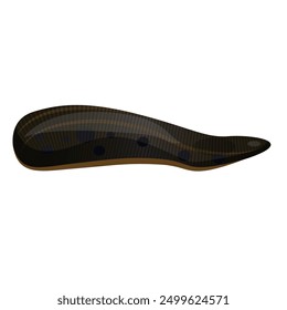 Long black leech vector illustration. Illustration of sea bloodsucking parasite. Popular animal for alternative medical therapy