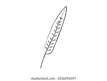 Long black pencil stroke plant leaf