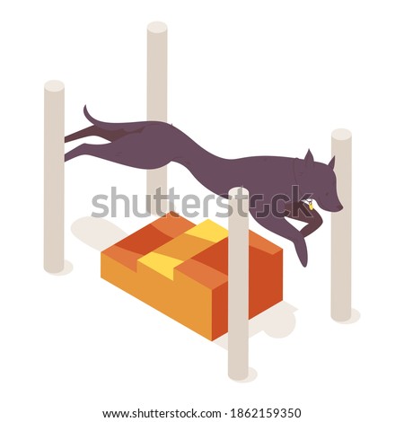 Long body dog hops over the long jump agility equipment. Vector isometric illustration isolated on white