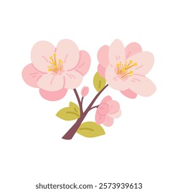 Long branch of blossoming cherry, apple or spring tree isolated. Vector botanical element for spring, Hanami