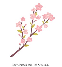 Long branch of cherry blossom, sakura on white background. Vector botanical element for Spring Festival, Hanami