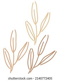 Long branch with leaves. Olive branch. Fresh leaves. Simple, doodle, modern style. Nature summer. Silhouette.