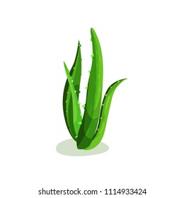 Long bright green leaves of aloe vera. Medicinal succulent plant. Flat vector element for skin care products label