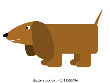 long brown dachshund with long ears. Dog