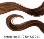 Long brown hair strand lock. Realistic 3d vector illustration set of waved smooth shiny female ponytail for shampoo and conditioner design. Strong healthy brunette curls for care and beauty concept.