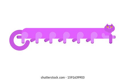 Long cat isolated. Cartoon pet. vector illustration