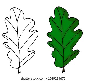 Long colorful trendy autumn leaves style vector flat icon illustration sign on white background for nature and web. Oak leaves.
