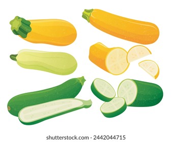 Long courgette or zucchini green and yellow set
