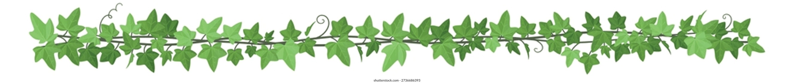 Long creeper border. Horizontal jungle plant vine 