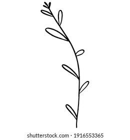 Long Curved Branch Leaves vector line art. Decorative symbol, vector illustration. Bright decoration. Vector design.