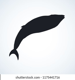 Long cute atlantic minke breach on light aqua backdrop. Dark ink hand drawn zoo pictogram logotype emblem in art retro etching contour print style on paper space for text. Side view