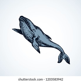 Long cute atlantic minke breach on light aqua backdrop. Freehand outline dark ink hand drawn zoo pictogram logotype emblem sketchy in art retro engraved style pen on paper space for text. Side view