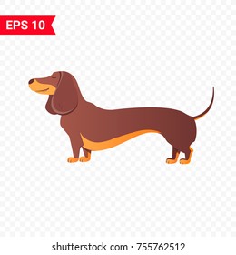 Long dachshund character.  An isolated dog for your design. 