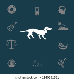 long dachshund vector illustration