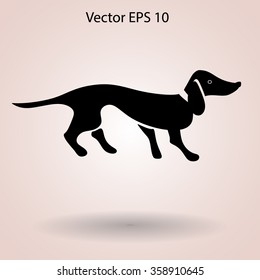 long dachshund vector illustration