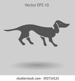 long dachshund vector illustration
