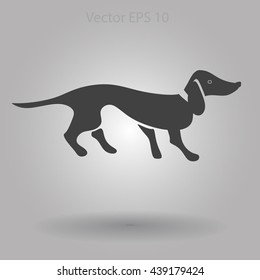 long dachshund vector illustration