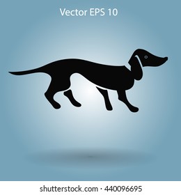 long dachshund vector illustration