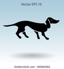 long dachshund vector illustration
