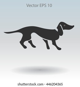 long dachshund vector illustration