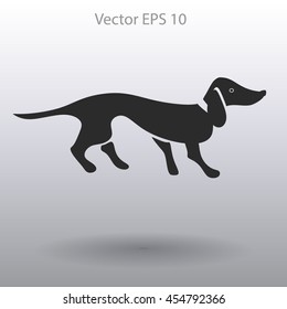 long dachshund vector illustration