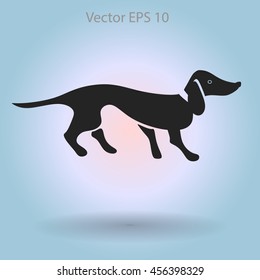 long dachshund vector illustration