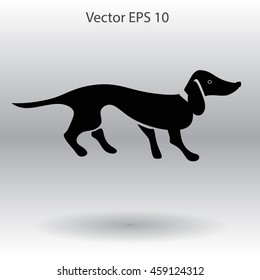 long dachshund vector illustration