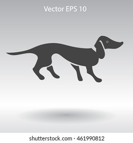 long dachshund vector illustration