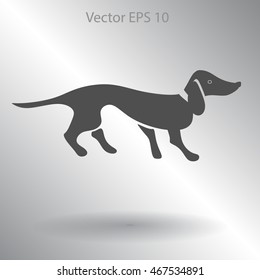 long dachshund vector illustration