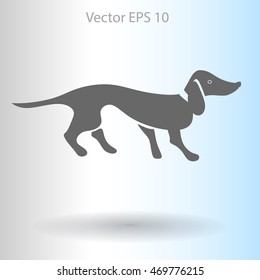 long dachshund vector illustration