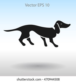 long dachshund vector illustration