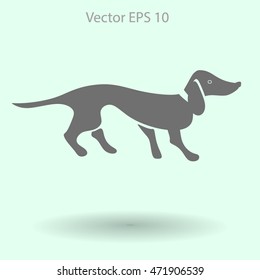 long dachshund vector illustration