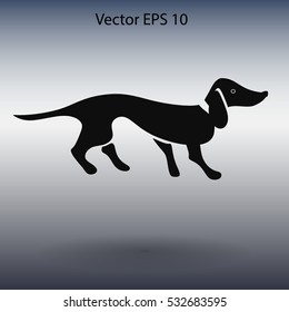 long dachshund vector illustration