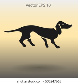 long dachshund vector illustration