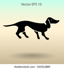 long dachshund vector illustration